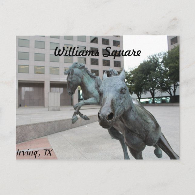 Cartão Postal Mustangs de Las Colinas # 9 (Frente)