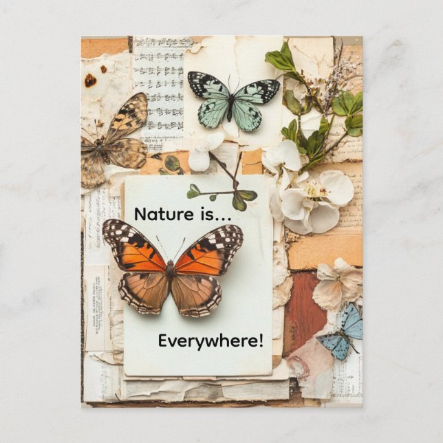 Cartão Postal My Scrapbook (Frente)