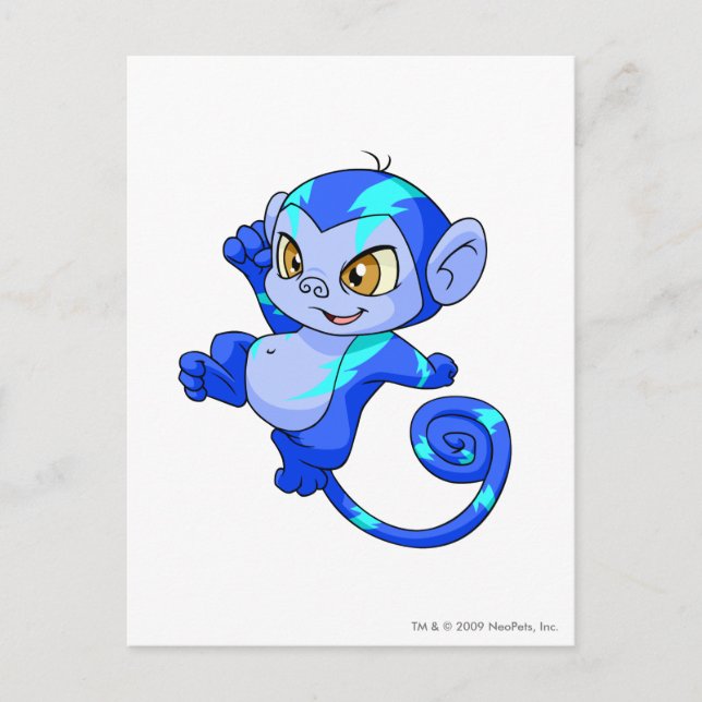 Cartão Postal Mynci elétrico (Frente)