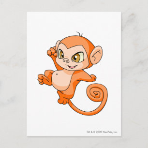 Cartão Postal Mynci Orange