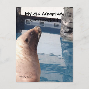 Cartão Postal Mystic Postcard