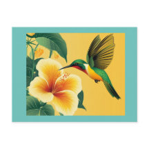 Cartão postal nº 1 do HUMMINGBIRD