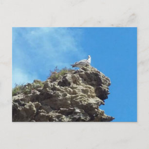 CARTÃO POSTAL Nº 3 DA DANA