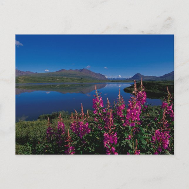 Cartão Postal N.A., EUA, Alasca, Alaska Range Comum (Frente)