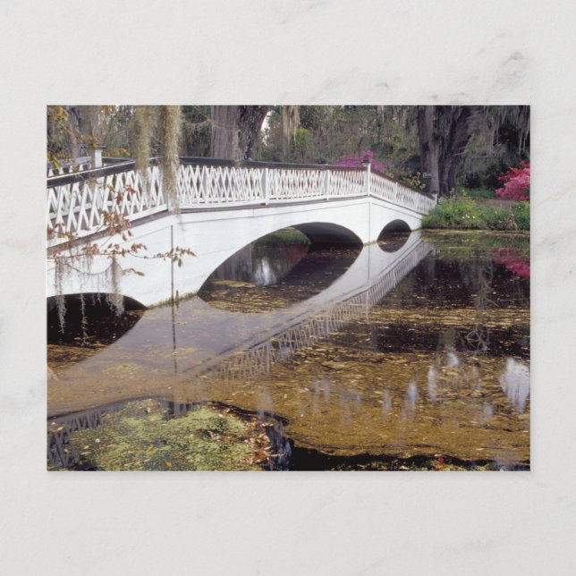 Cartão Postal N.A., EUA, Carolina do Sul, Charleston. Doenças do (Frente)