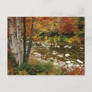 Cartão Postal N.A., EUA, New Hampshire, White Mountains,