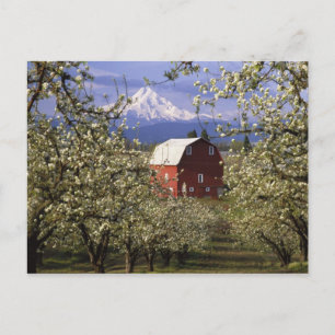 Cartão Postal N.A., EUA, Oregon, Condado de Hood River. Vermelho