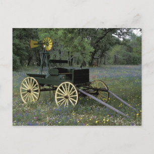 Cartão Postal N.A., EUA, Texas, Devine, Velha carroça e