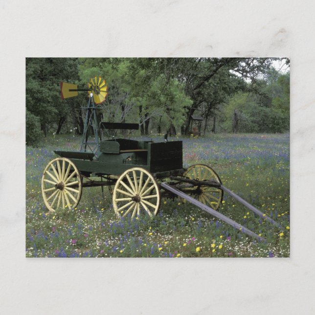 Cartão Postal N.A., EUA, Texas, Devine, Velha carroça e (Frente)