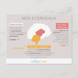 Cartão Postal N.os 3 cerveaux