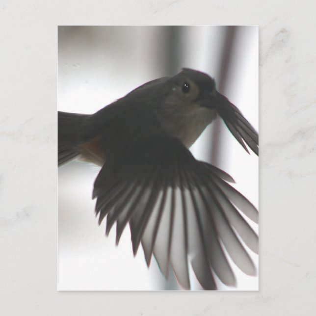 Cartão Postal Na asa (Frente)