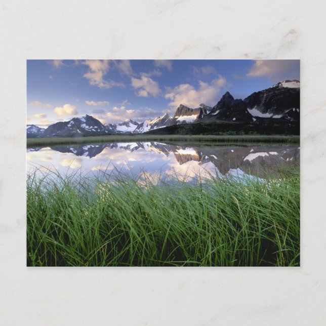 Cartão Postal NA, Canadá, Alberta, Vale do Tonquin. Jasper (Frente)