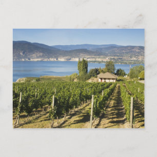 Cartão Postal NA; Canadá; Colúmbia Britânica; Vale de Okanagan;