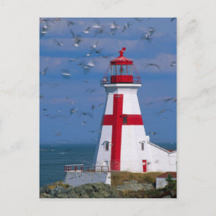 Cartão Postal NA, Canadá, New Brunswick, Ilha Campobello. 8