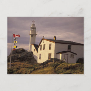 Cartão Postal NA, Canadá, Terra Nova, Lobster Cove. Lagosta