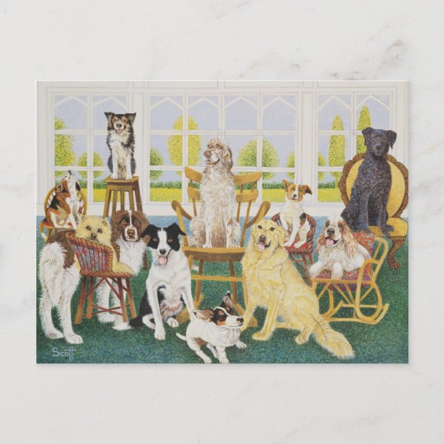 Cartão Postal Na Casinha de Cachorro (Frente)