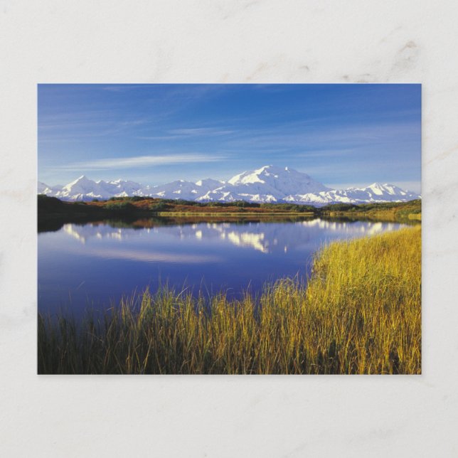 Cartão Postal NA, EUA, Alasca, Denali NP Mt. McKinley em (Frente)
