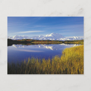 Cartão Postal NA, EUA, Alasca, Denali NP Mt. McKinley em