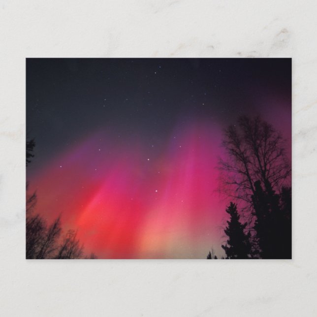 Cartão Postal NA, EUA, Alasca, Fairbanks, Cortinas de rosa e (Frente)