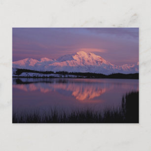 Cartão Postal NA, EUA, Alasca. Parque Nacional Denali. Mt