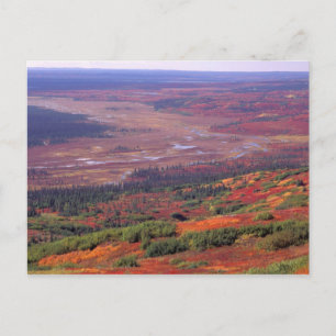 Cartão Postal NA, EUA, Alaska, Denali NP, View of McKinley