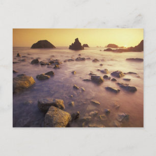 Cartão Postal NA, EUA, Califórnia, Norte California,