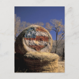 Cartão Postal NA, EUA, Colorado, Gunnison. Rolo de feno patrióti