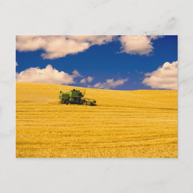 Cartão Postal NA, EUA, Estado de Washington, Região de Palouse, (Frente)