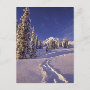 Cartão Postal NA, EUA, Washington, Mt. Rainier NP, Neve