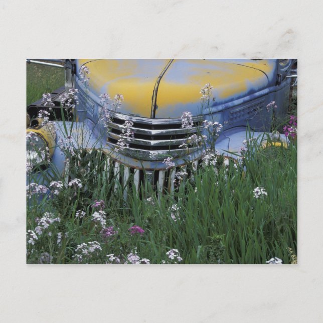 Cartão Postal NA, EUA, Washington oriental, Velho caminhão com (Frente)