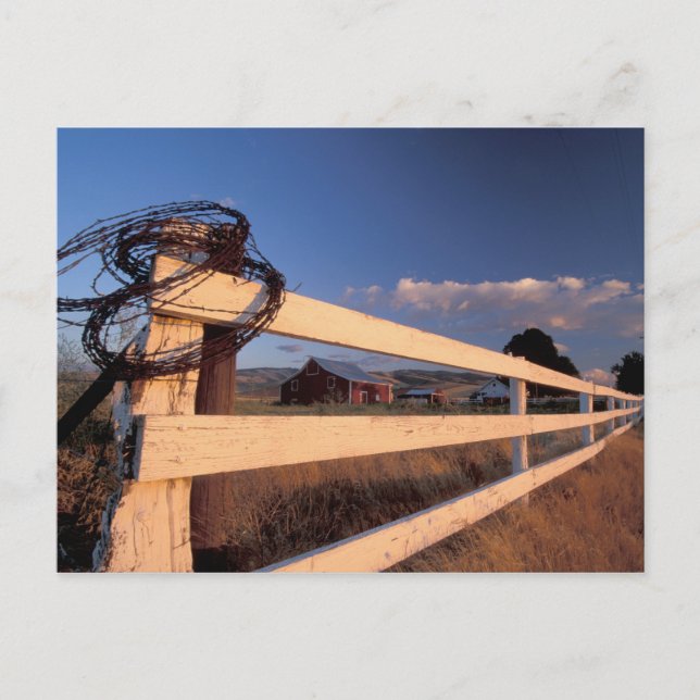 Cartão Postal NA, EUA, Washington, perto de Walla Walla, cerca, (Frente)