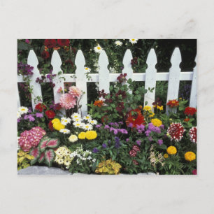 Cartão Postal NA, EUA, Washington, Sammamish, Cerca branca