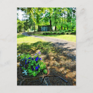 Cartão Postal Na Floresta
