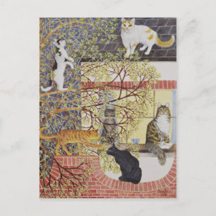 Cartão Postal Na luz do limite