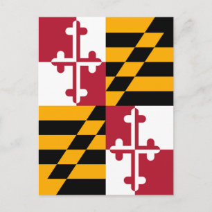 Cartão Postal Na moda Maryland Flag Decor
