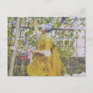 Cartão Postal Na Porta de Uvas