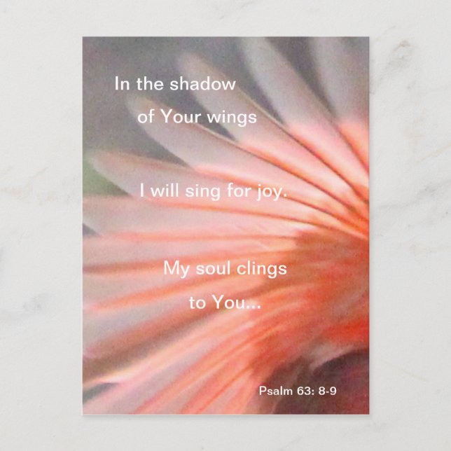 Cartão Postal Na sombra de suas asas (Frente)