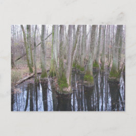 Cartão Postal na terra do makeAcredite