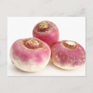 Cartão Postal Nabos