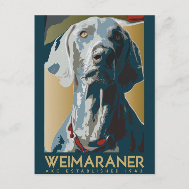 Cartão Postal Nação Weimaraner: 1943 Weimaraner (Frente)