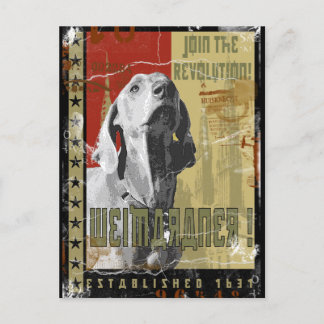 Cartão Postal Nação Weimaraner: Vintage Weimaraner!