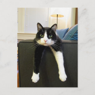 Cartão Postal Nada a fazer