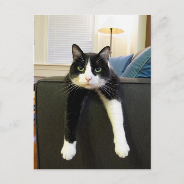 Cartão Postal Nada a fazer (Frente)