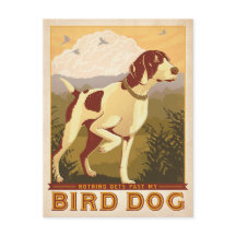 Nada Passa Pelo Meu Cachorro De Pássaros