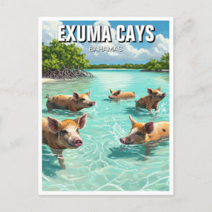 Cartão Postal Nadando Porcos Exuma Cays Bahamas Viagem