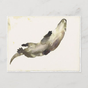 Cartão Postal Nadar Acima