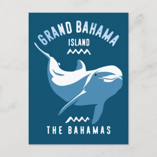 Cartão Postal Nadar com Golfinhos - Grande Mergulho Bahama Scuba