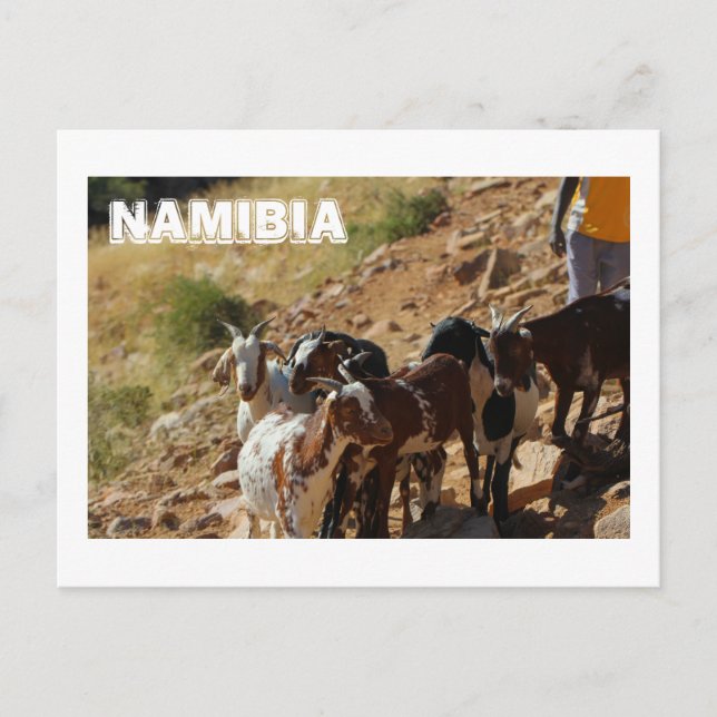 Cartão Postal Namíbia África Paisagem Namíbia (Frente)