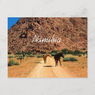 Cartão Postal Namíbia Koiimasis Ranch Tiras Paisagem