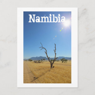 Cartão Postal Namíbia Marienfluss Savannah Paisagem natural